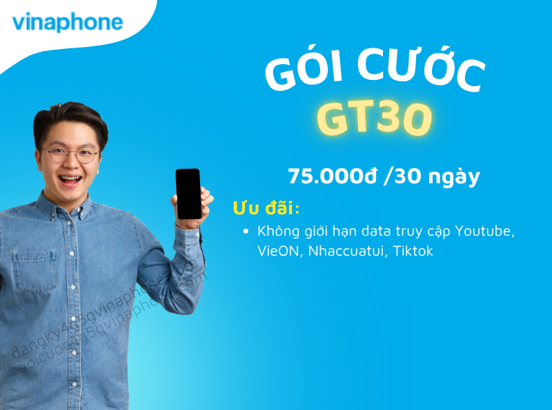 GT30 vinaphone